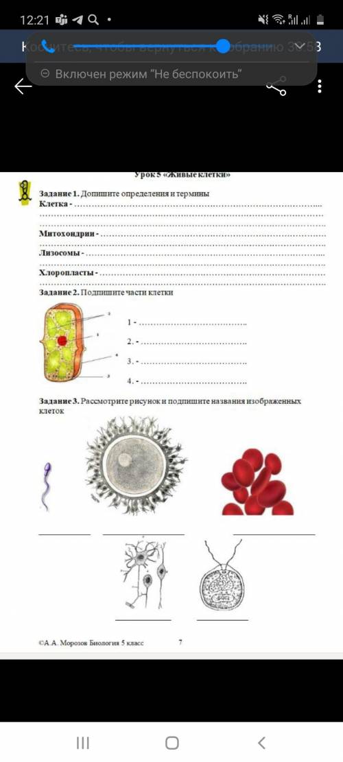 Подпишите части клеток задание 2