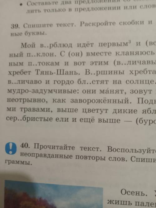 Спишите текст. Раскройте скобки и согласуйте слова. Вставьте пропущенные буквы