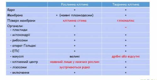 Таблица рослинна клитина та тварина клитина, биология 6 класс відповідь на таблицю будь ласка.