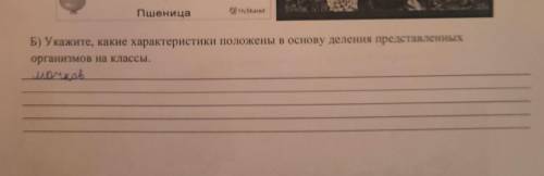 Б) Укажите, какие характеристики положены в основу деления представленных организмов на классы. Лучк