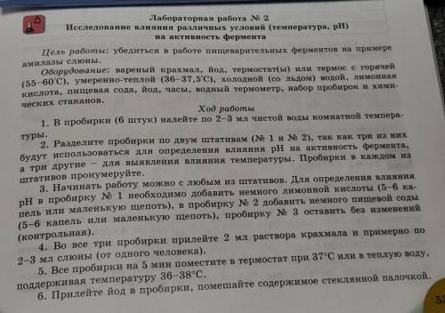 лабораторная работа номер два исследование влияния различных условий температура на активность ферме