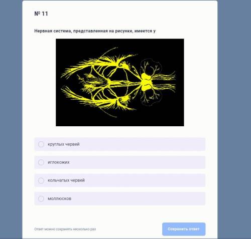 Биология 8 класс олимпиада чья нервная система представлена на картинке?