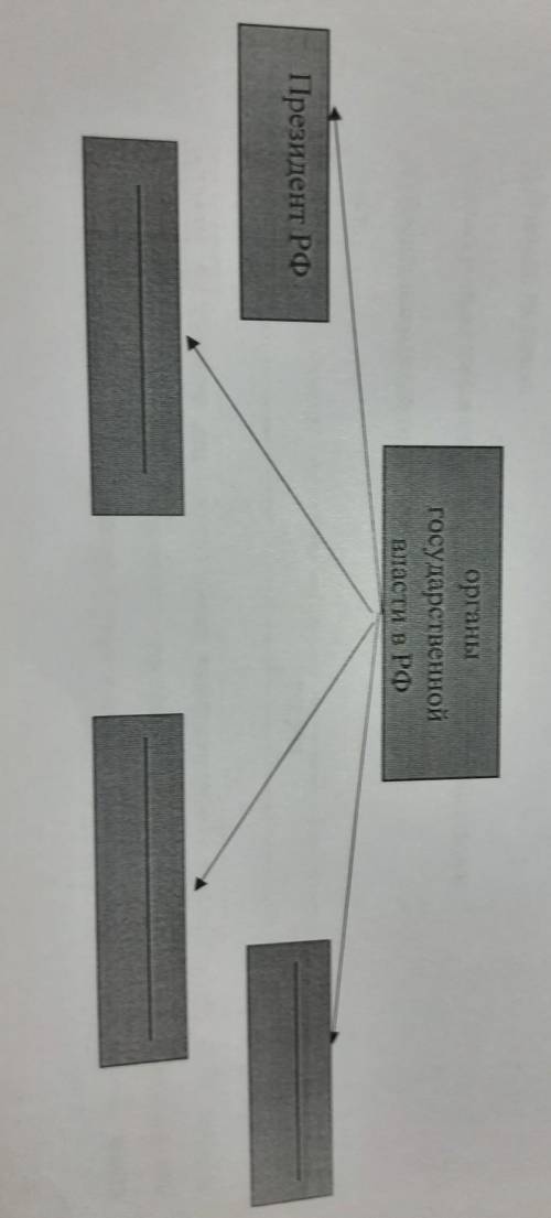 Заполните пропуски в схеме, согласно действующей Конституции РФ.