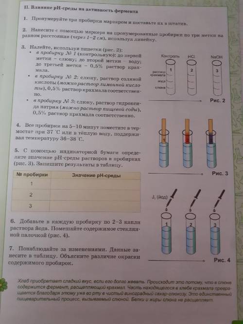 Лабораторная работа №2 по биологии. ИСЛЕДОВАНИЕ ВЛИЯНИЯ РАЗЛИЧНЫХ УСЛОВИЙ (температура,pH) НА АКТИВН