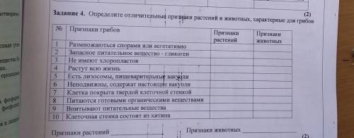 Определите отличительные признаки растений и животных характерных для грибов