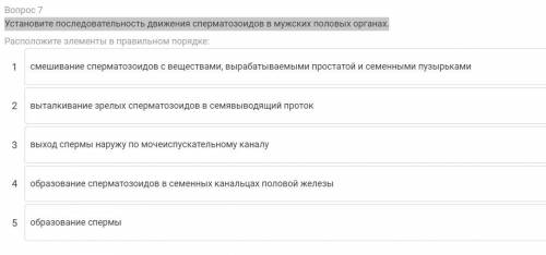 Установите последовательность движения сперматозоидов в мужских половых органах.