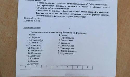 Лабораторная по биологии 10. Белки. ответьте на все кроме первого вопроса и вывода