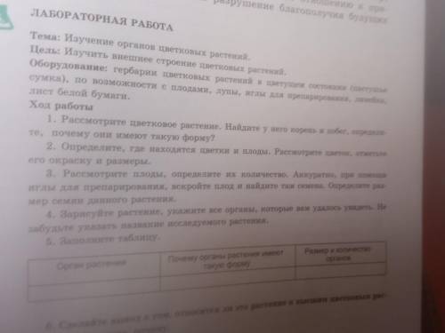 Рассмотрите цветные растения найдёте у него корень и Побег Определите Почему они имеют Такую форму