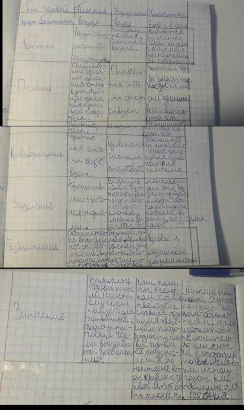 . Надо написать вывод по этой таблички,а именно надо написать черты сходства и различия всех трёх ти