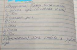 Напишите сочинение по плану (закреплен) к картине В старинной северной избе из учебника 6 класс уп