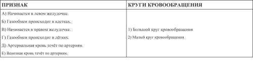 Установите соответствие между процессами и кругами кровообращения. ответ запишите в приведённую ниже