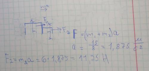 Бруски (m1 = 2 кг, m2 = 6 кг) лежат на гладкой горизонтальной плоскости, соприкасаясь стенками, как