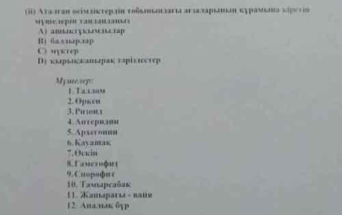 2 (ii) Аталған өсімдіктердің тобынындағы ағзаларының құрамына кіретін мүшелерін таңдаңдаңыз А-ашықт