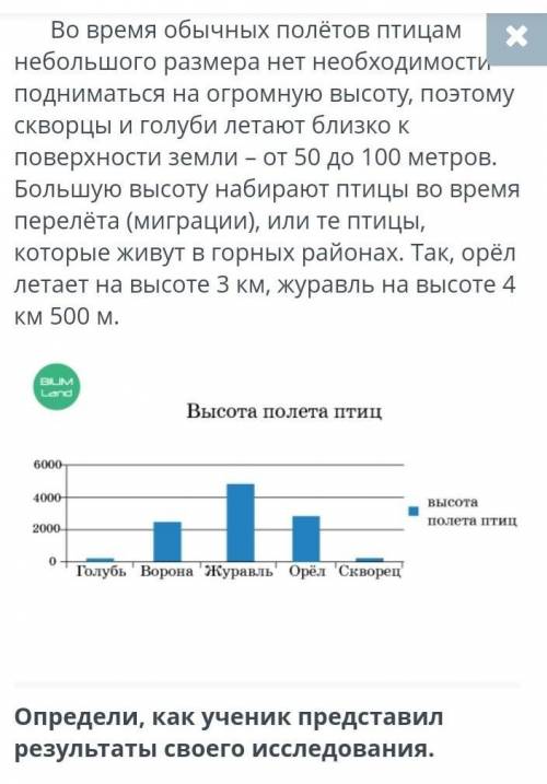 Рисунокописание вывода схема диаграмм из этих 2 ответа верные