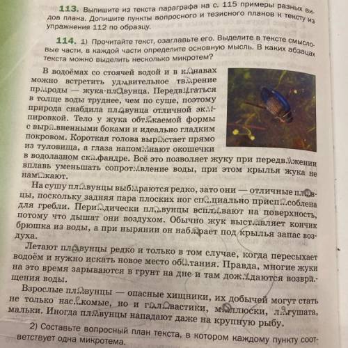 Составьте план , нужно 4 пункта , буду очень благодарна