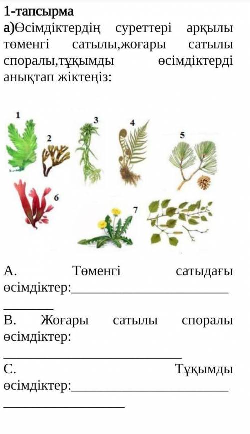 Өсімдіктердің суреттері арқылы төменгі сатылы,жоғары сатылы споралы,тұқымды өсімдіктерді анықтап жік