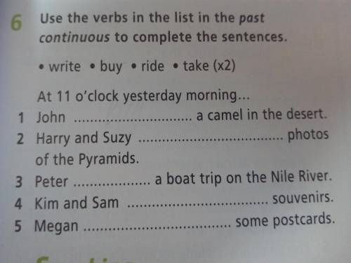 Use the verbs in the list in the past continuous to complete the sentences.