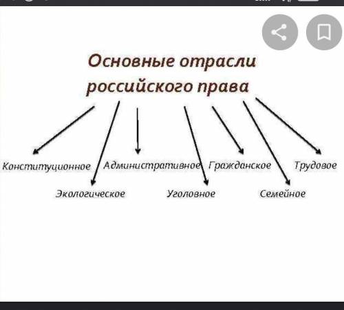 В приведённом ниже списке найдите отрасль права. Юридический прецедент Конституция РФ Диспозиция Сем