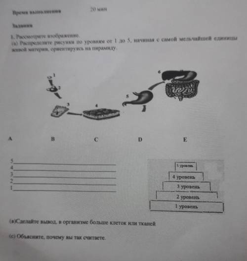 Задания 1. Рассмотрите изображение. (а) Распределите рисунки по уровням от 1 до 5, начиная с самой м