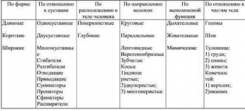 Таблиця суглоби і м'язи які забезпечують їхні рухи