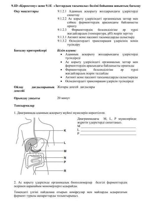 Бжб жауабы болса бернш керек