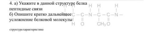 А) Укажите в данной структуре белкапептидные связиИ Б)тоже
