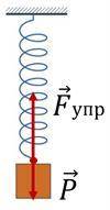 Если груз некоторой массы подвесить к пружине, то в результате их взаимодействия пружина деформирует