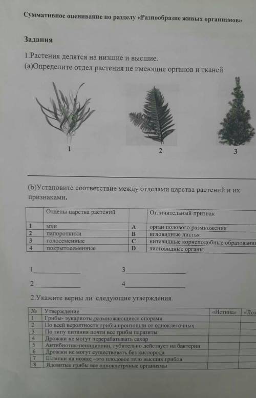 суммарная оценирование по раздел разнообразие живые организм 8класс мне скиньте мне сор мне в 10:00