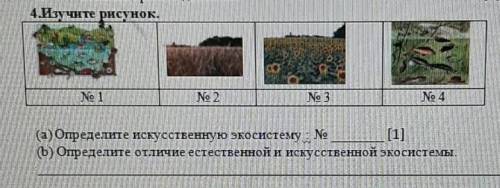 (а) Определите искусственную экосистему : (b) Определите отличие естественной и искусственной экосис