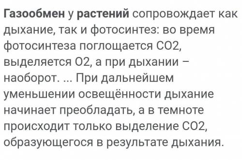 Что происходит в листе во время газообмена?