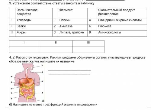 3 . Установите соответствие, ответы занесите в табличку Органическое веществоФермент Окончательный п