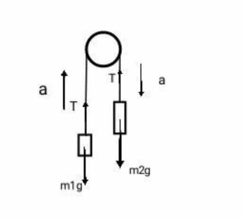 Через легкий неподвижный блок перекинута невесомая и нерастяжимая нить, на которой подвешены три гру