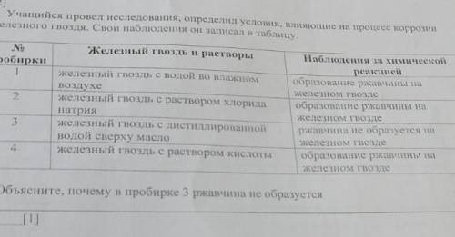 Учашийся провел исследование, определил условия, вляющие на процесс коррозий железного гвоздя, Свои