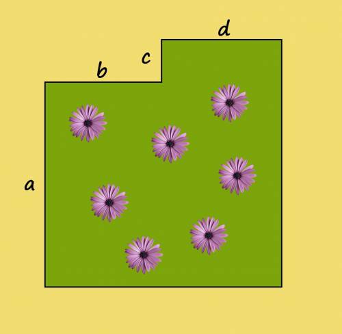 Даны a, b, c, d - длины (в метрах) некоторых сторон цветочного сада, ниже на картинке изображено, ка