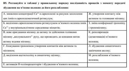 Розташуйте в таблиці у правильному порядку послідовність процесів з моменту передачі збудження на м’