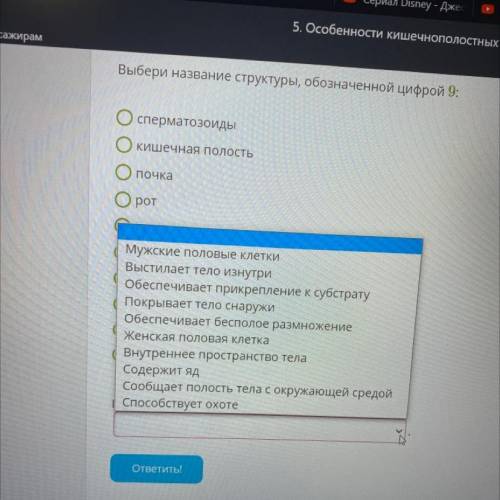 Выберете описание это структуры гидры