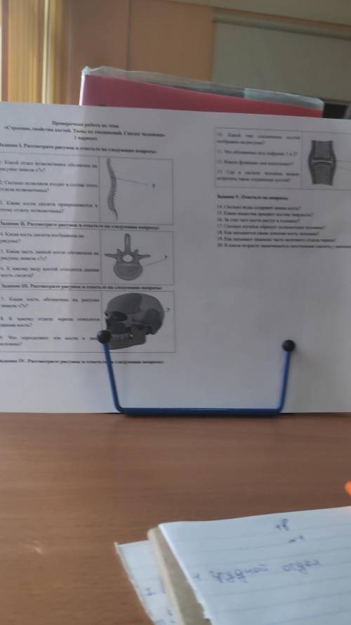 костей Проверочная работа по теме «Строение, свойства костей. Типы их соединений. Скелет человека» 1