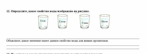 Определите, какое свойство воды изображено на рисунке. Объясните, какое значение имеет данное свойст