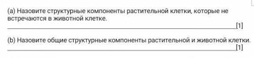 нужно...а да,и еще я ищю друга или подругу)