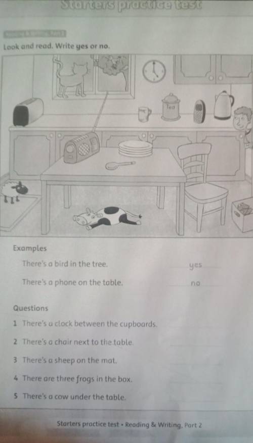 Look and read. Write yes or no. Too - Examples There's a bird in the tree. yes There's a phone on th