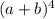 (a+b)^4