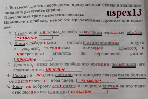 Вставьте где надо пропущенные буквы и знаки препинания подчеркните грамматическую основу Напишите в