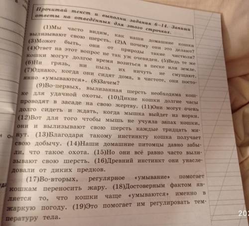 (7) Составь и запиши план текста из трёх пунктов.В ответе ты можешь использовать сочетания слов или