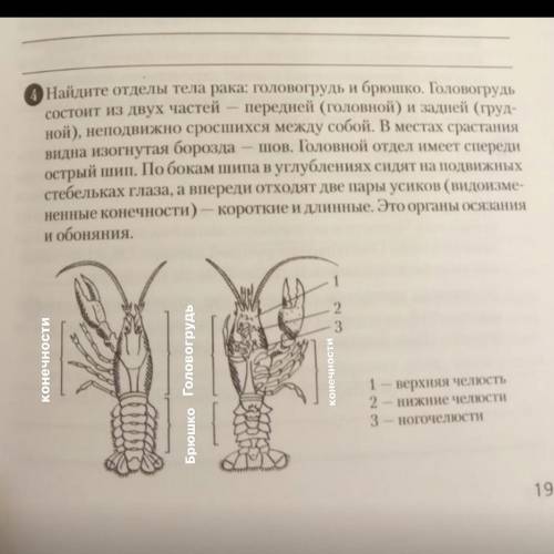 , БИОЛГОИЯ СДЕЛАЙТЕ ПЛИТИЗ