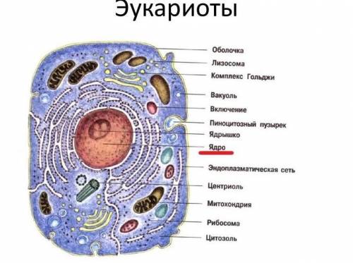 нужно использовать всё