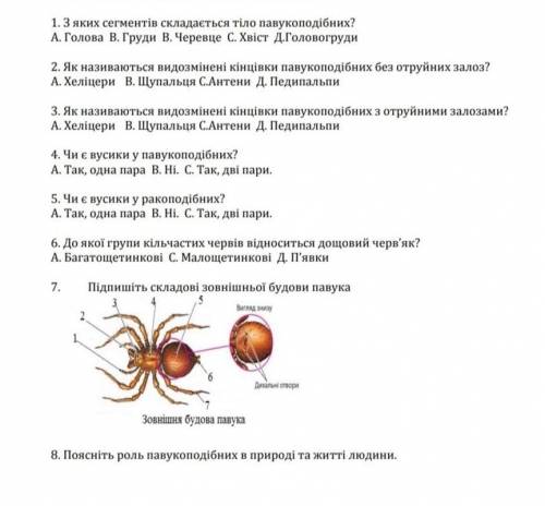 До іть. Це треба здати через 30 хвилин