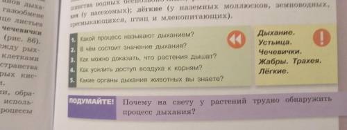 с вопросами в зелёной и фиолетовой рамке❤️