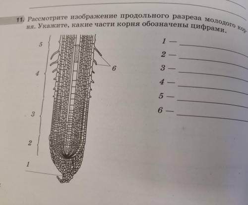 , я пропустил тему, а в учебнике непонятно