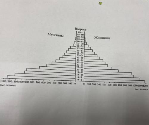 Половозрастная пирамида Великий Новгород , на фото надо закрасить синим мужчин, а женщин красным
