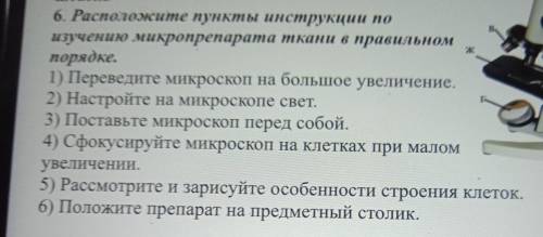 Расположите пункты инструкции по изучению микропрепарата ткани в правельном порядке